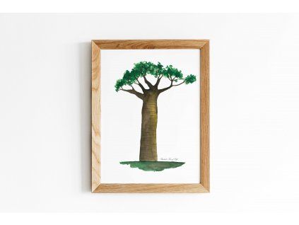 plakat baobab