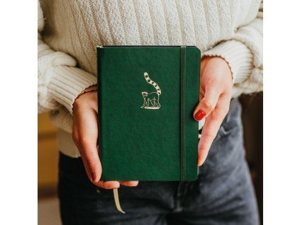 bullet journal3