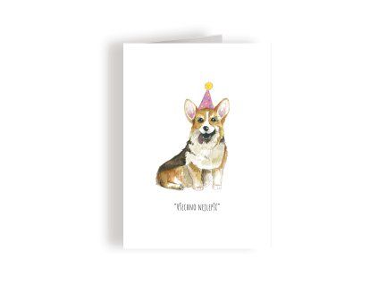 corgi prednistrana2