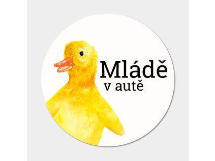 mlade mockup