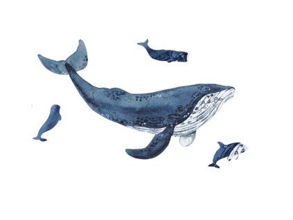 mini wooden puzzle whale by epipi