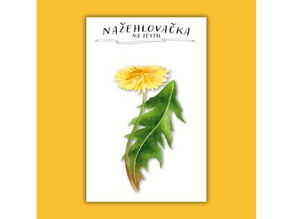 Návrh bez názvu (47)