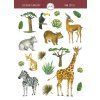 safari motiv