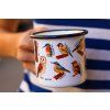 plecháček ptáci