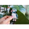 samolepka papuchalk