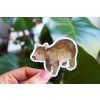 wombat