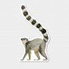 lemur