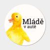 mlade mockup