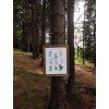 plakat byliny
